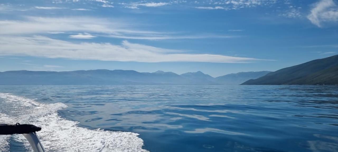 Odri Vlore